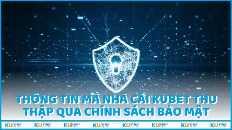 Thông tin mà nhà cái Kubet thu thập qua chính sách bảo mật