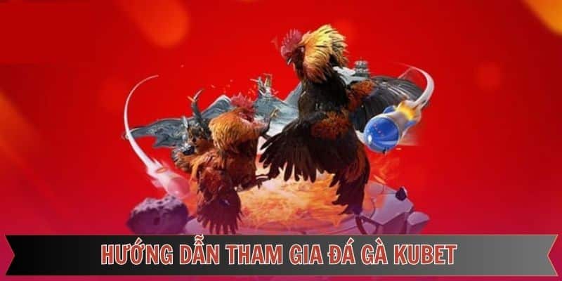 Các bước trải nghiệm cá cược tại sảnh đá gà của Kubet